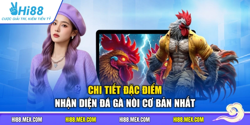 Chi tiết đặc điểm nhận diện đá gà nòi cơ bản nhất